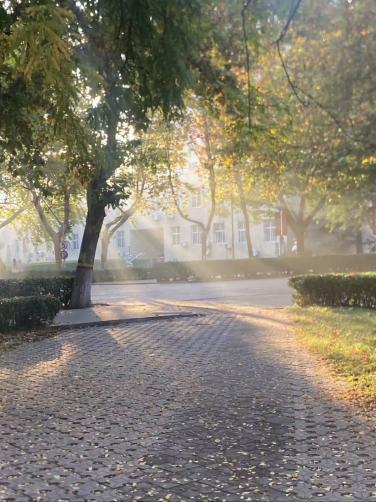 9b2f5b9bd16d26d302c2e18e1b816c4