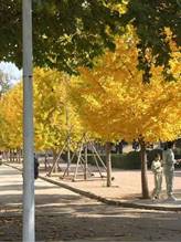 5fb8d3d00d72a2a37f895264f98ff0d