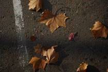 537fe7705e11868839b0984456df77b